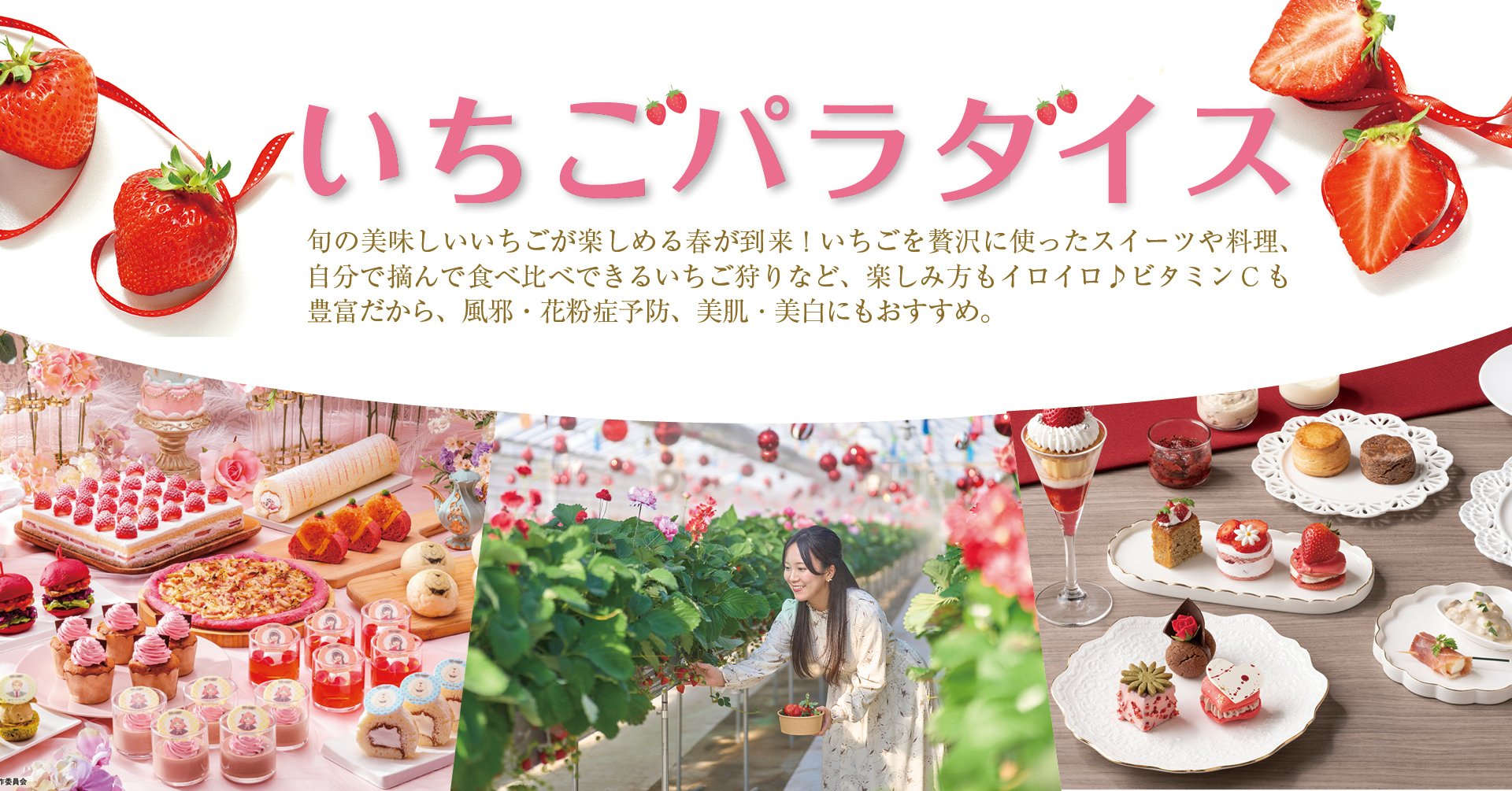いちごパラダイス
