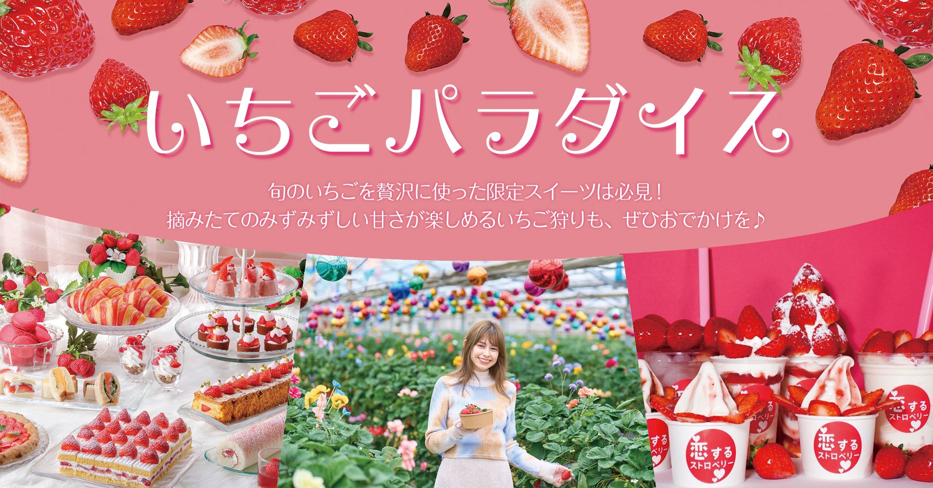 いちごパラダイス