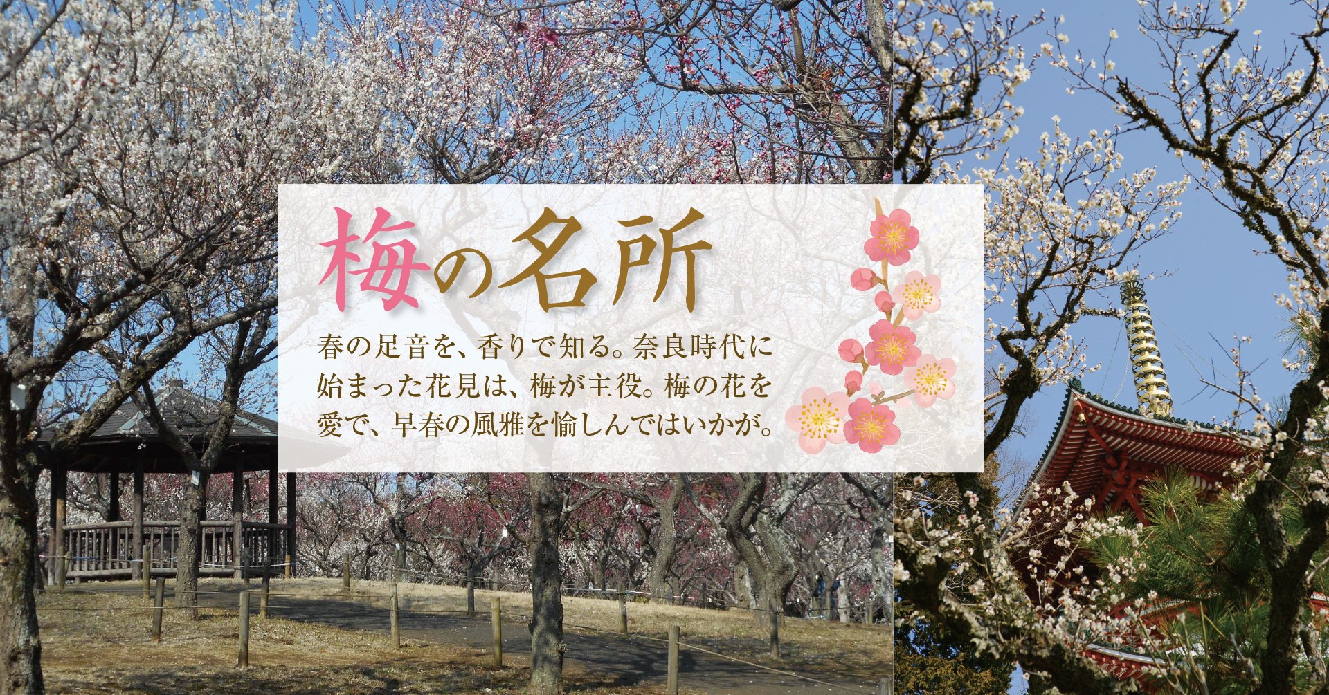 梅の名所