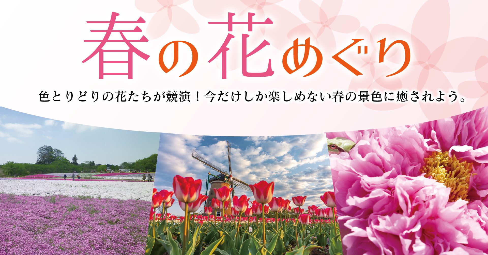 春の花めぐり