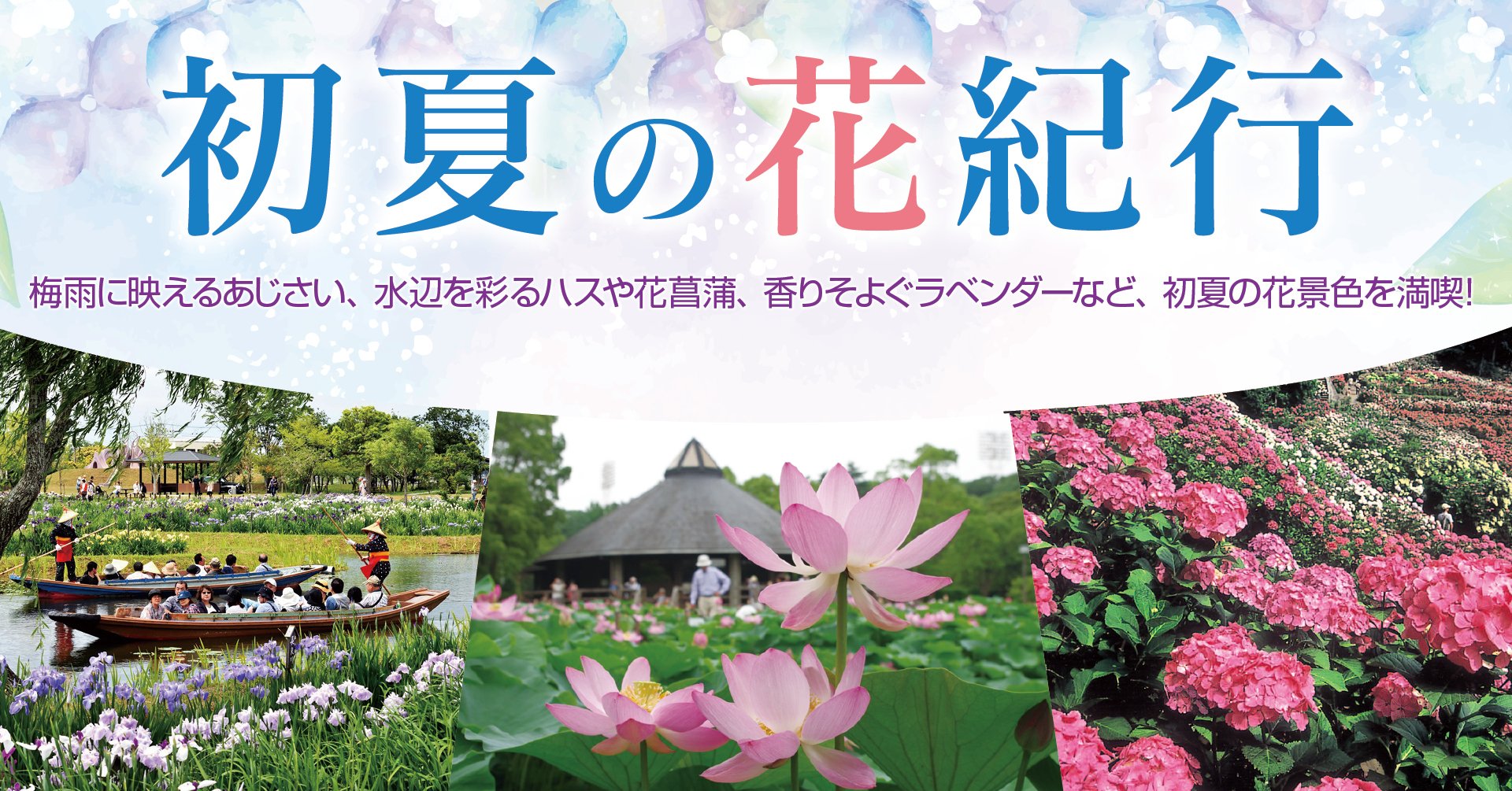 初夏の花紀行