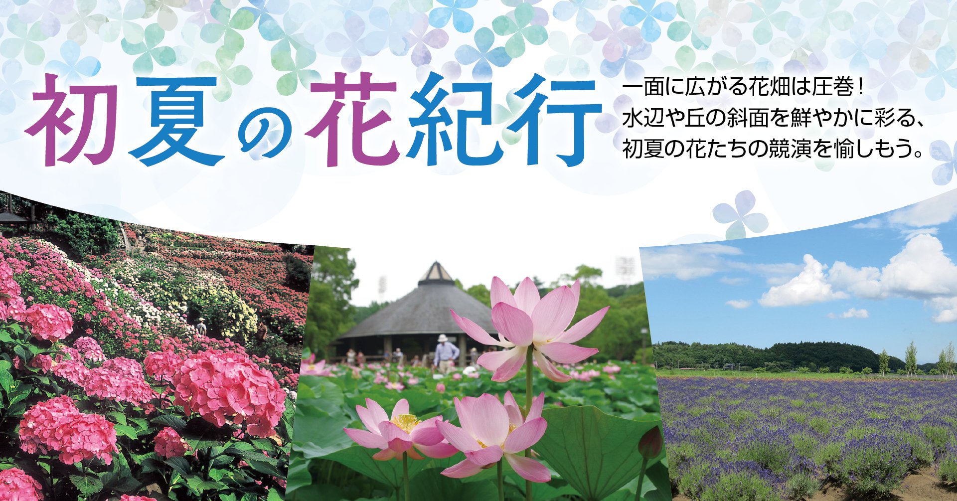 初夏の花紀行