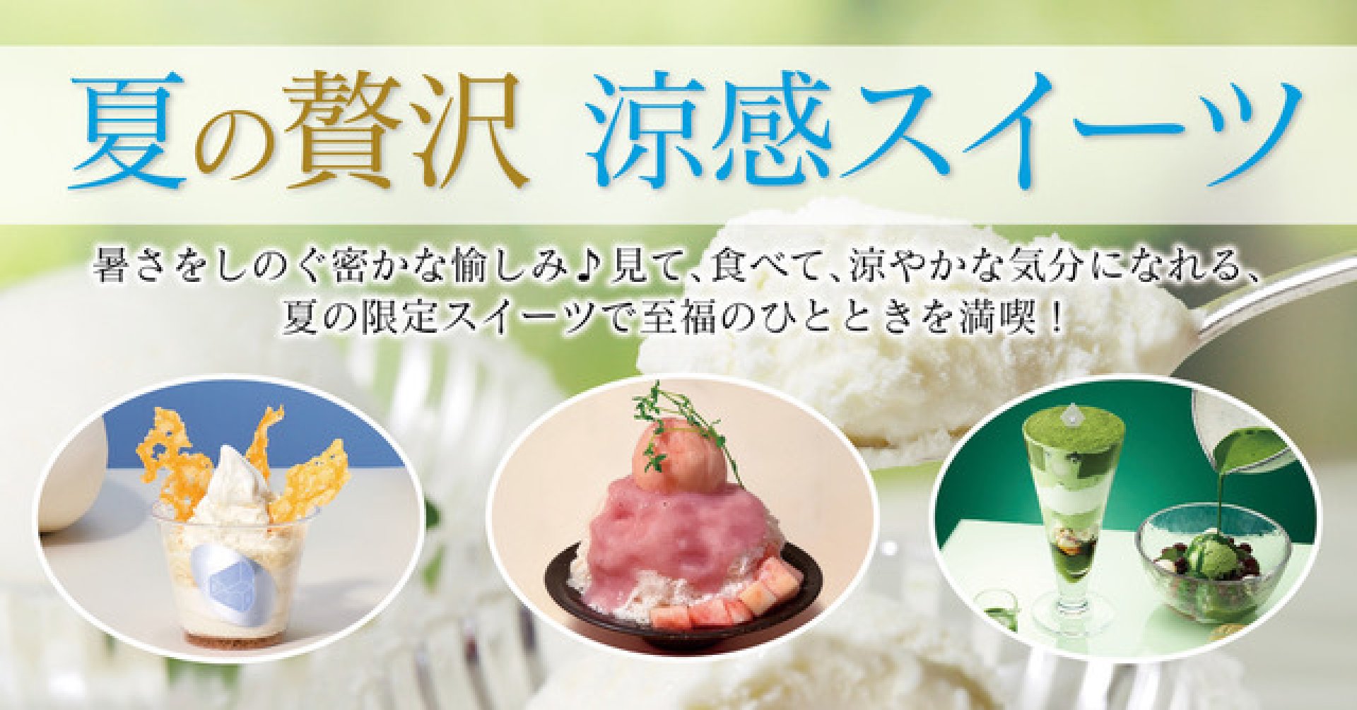 夏の贅沢　涼感スイーツ
