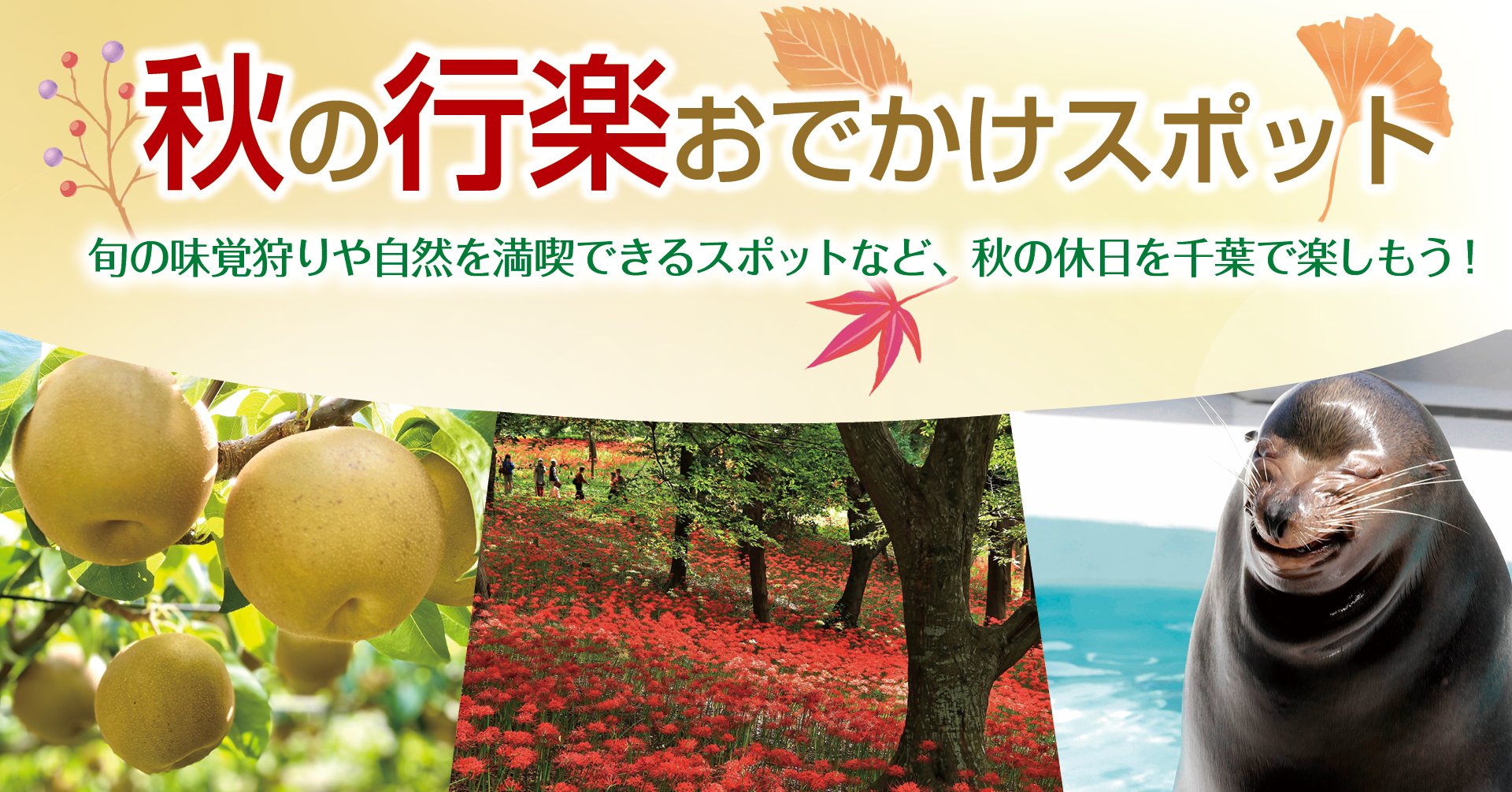 秋の行楽おでかけスポット