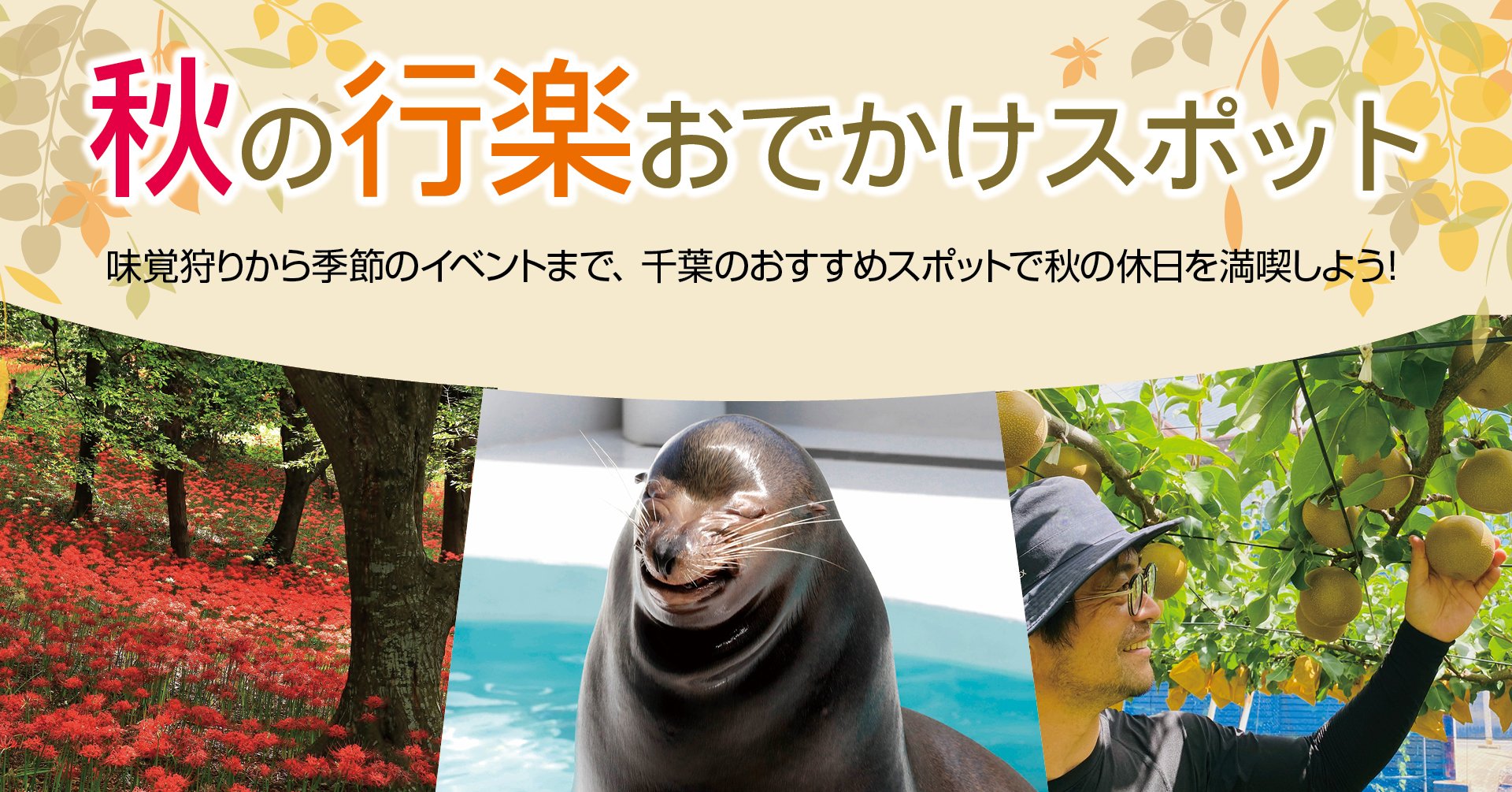 秋の行楽おでかけスポット