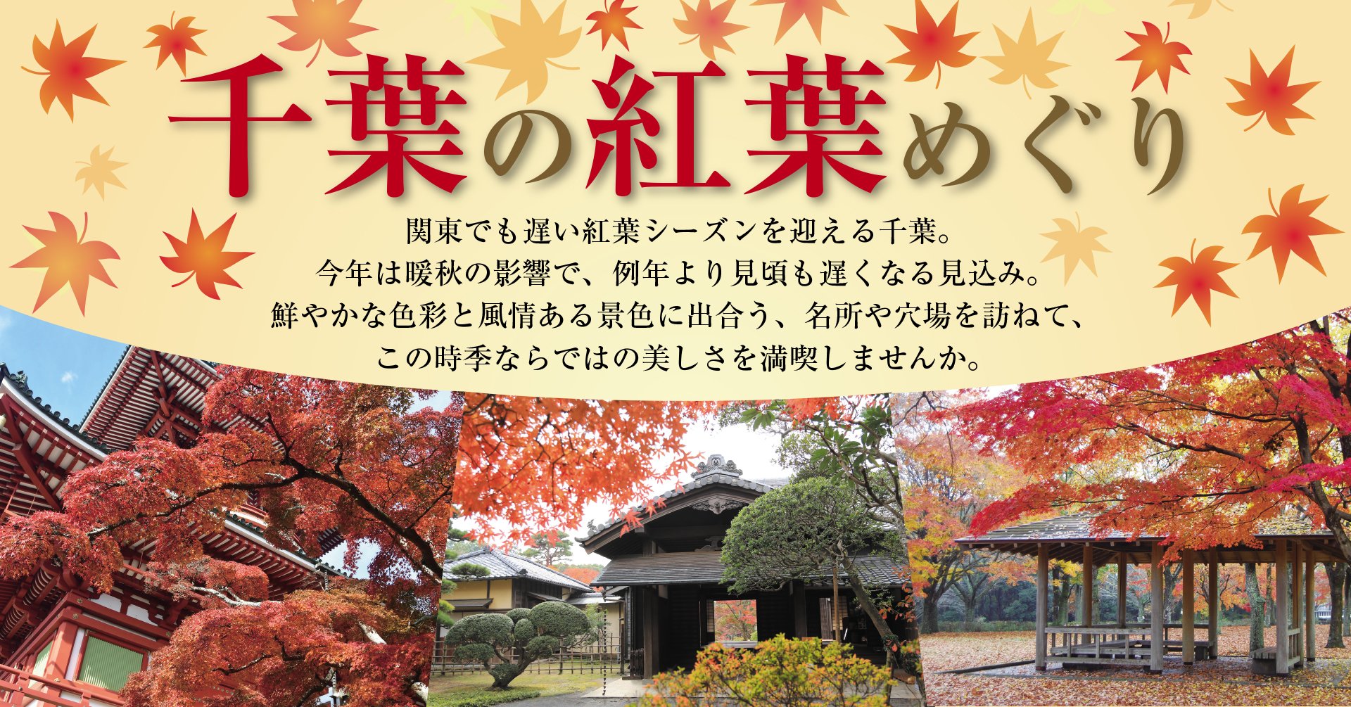 千葉の紅葉めぐり