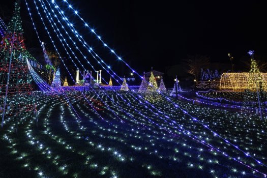 冬の風物詩「ウインターイルミネーション」