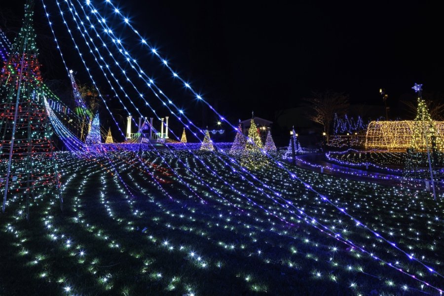 冬の風物詩「ウインターイルミネーション」