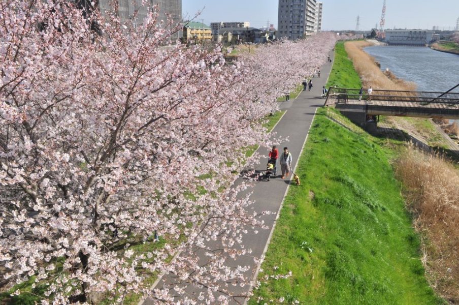 写真提供：八千代市