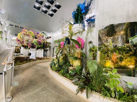 自然界の植物にフラワーアーティストの芸術性を加え感性という種から芽生えたオブジェクトを展示