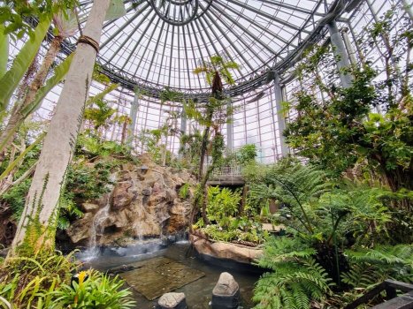 日本でも数少ない、南国の植物を集めた植物園「ボタ二カリウム」