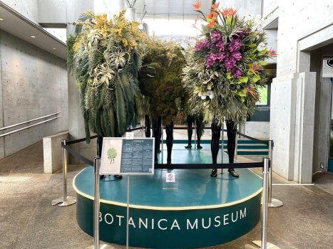  人の個性（人生）と植物の個性（植生）を照らし合わせる作品「BOTANICALIEN」