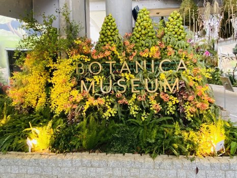 BOTANICA MUSEUMのメインモチーフである「青リンゴ」を基調にしたエントランスオブジェ