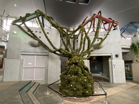 苔の重要性を地球の血管として表現した「モスモス」