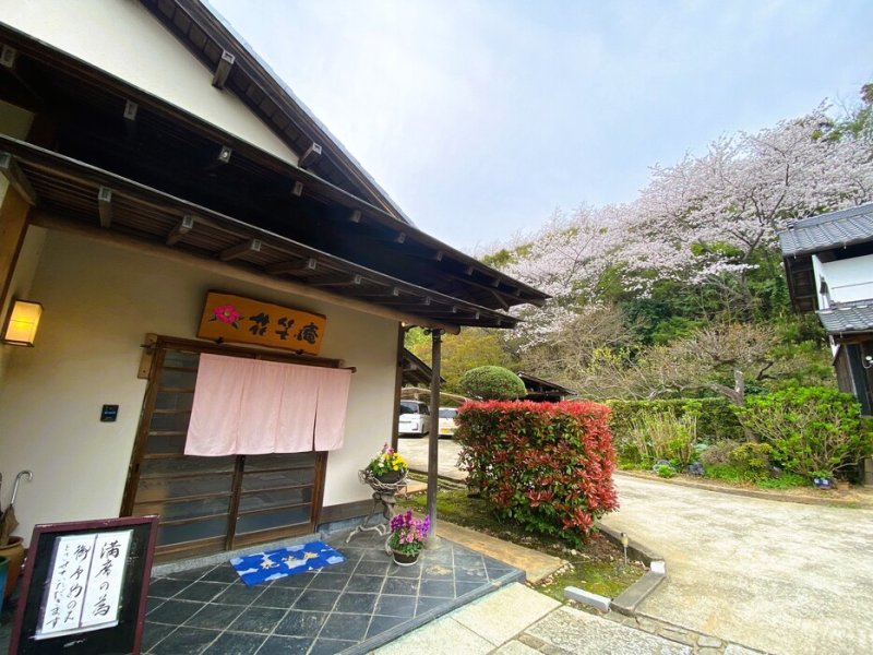 春はお花見も楽しめます