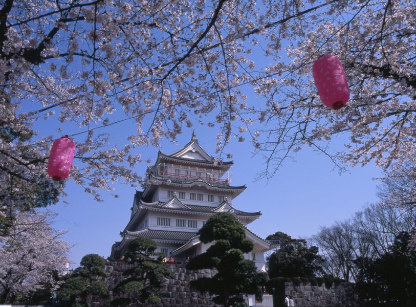 3月29日（土）～ 4月6日（日）さくら祭り開催