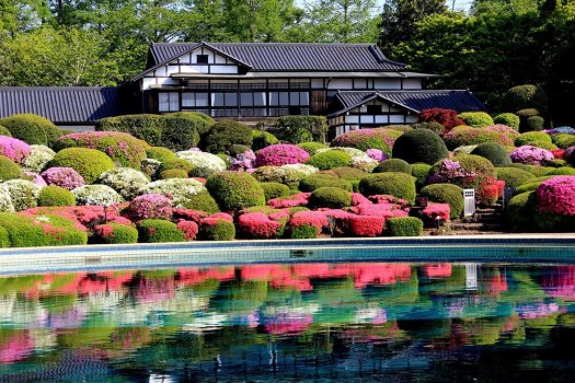 ツツジ見頃：4月中旬～5月上旬