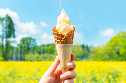 はちみつソフトクリーム カップ 450円／コーン 500円