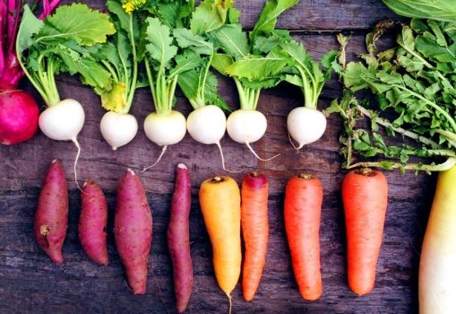 【食の台盤所】