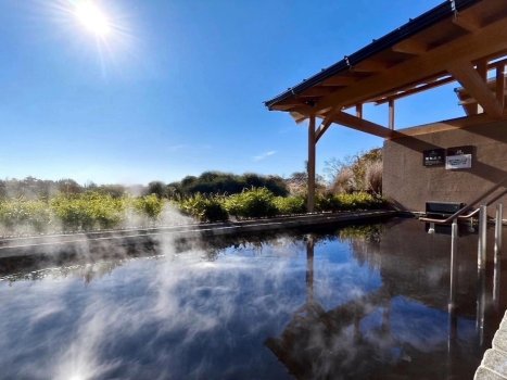 温泉はナトリウム塩化物炭酸水素塩冷鉱泉