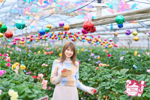 新感覚のいちご狩り 「オズの国のストロベリーハント」