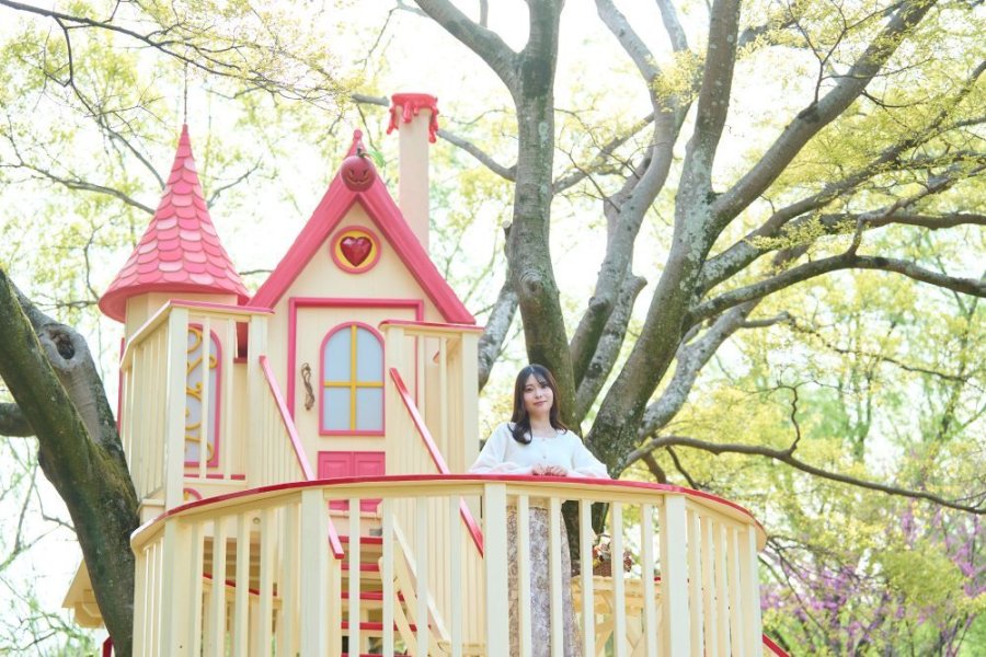 クイーン オブ ハートのツリー キャッスル