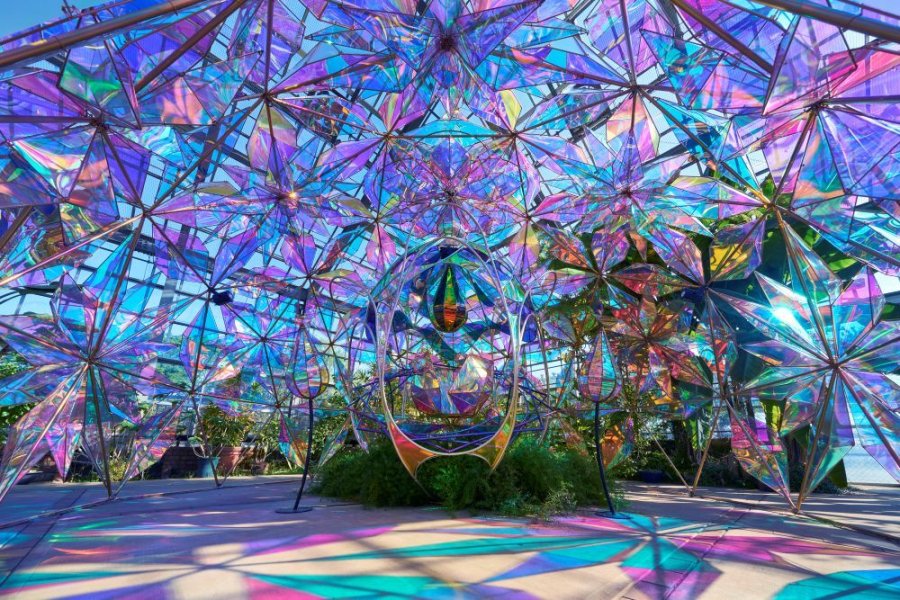 大温室の「光とバラのインスタレ ーション」