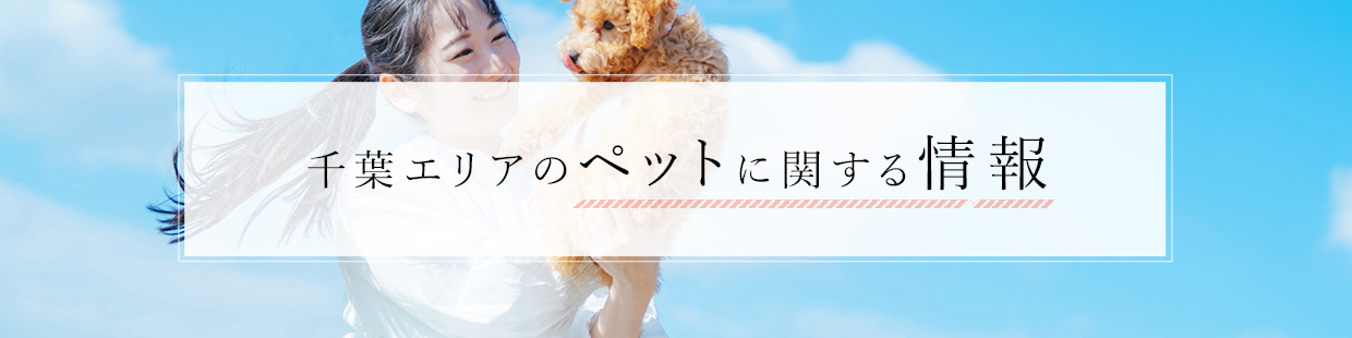 ペット